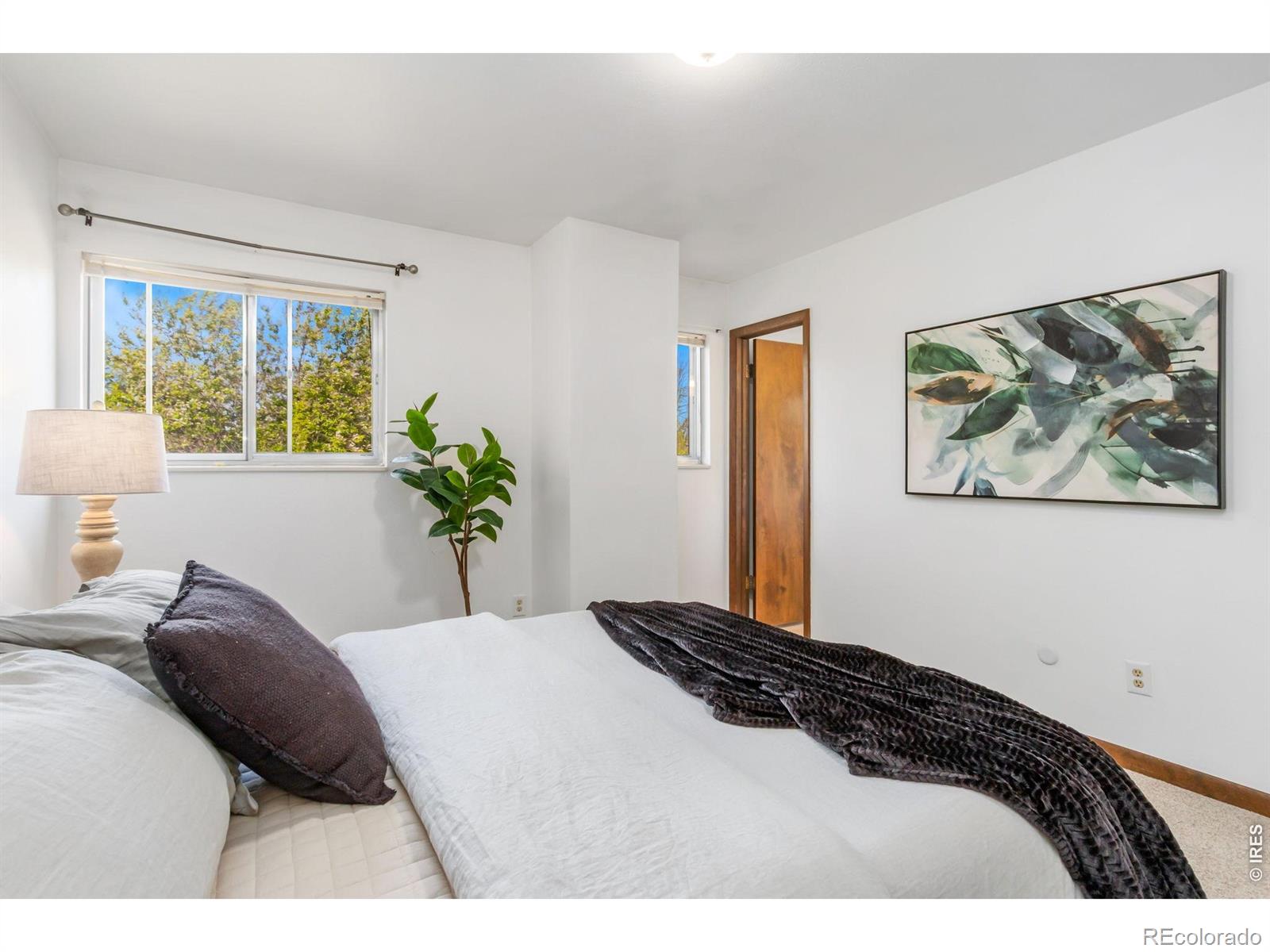 MLS Image #7 for 3006  alamo avenue,fort collins, Colorado