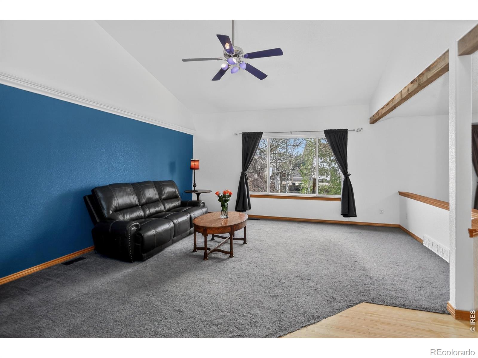 MLS Image #15 for 145  falcon circle,mead, Colorado