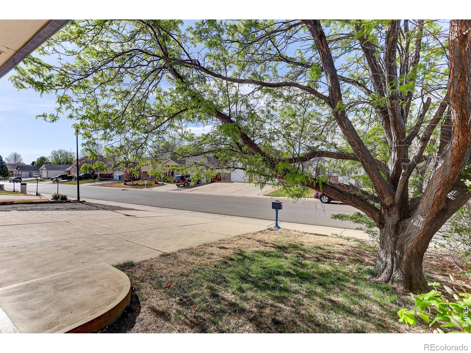 MLS Image #2 for 145  falcon circle,mead, Colorado