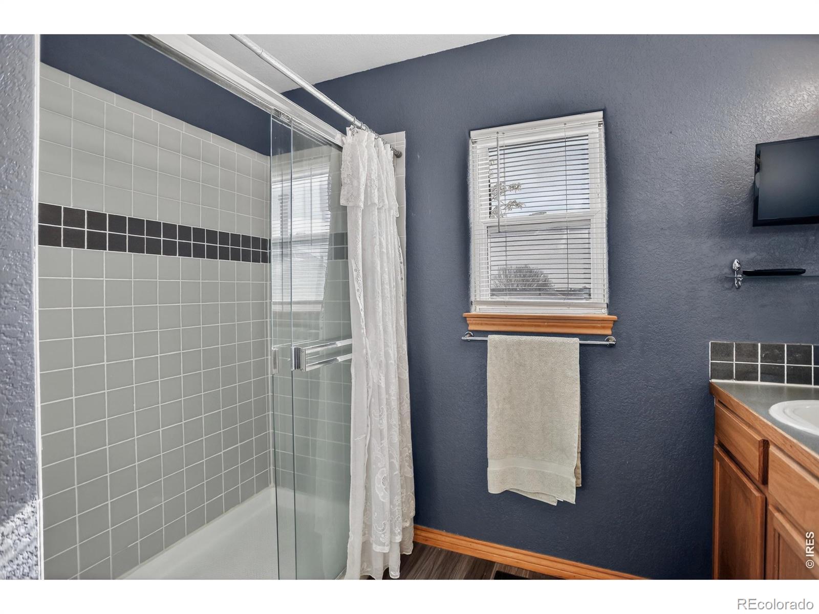 MLS Image #22 for 145  falcon circle,mead, Colorado