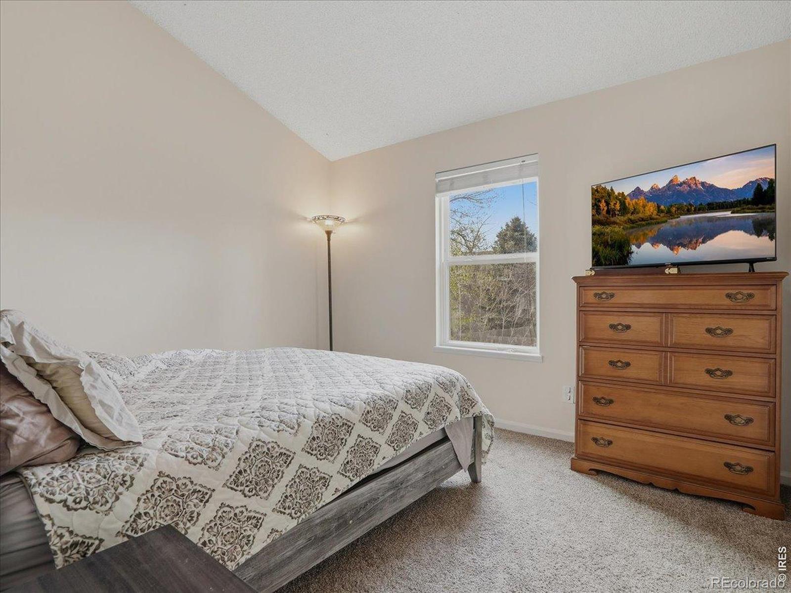 MLS Image #16 for 1013  kremmling lane,fort collins, Colorado