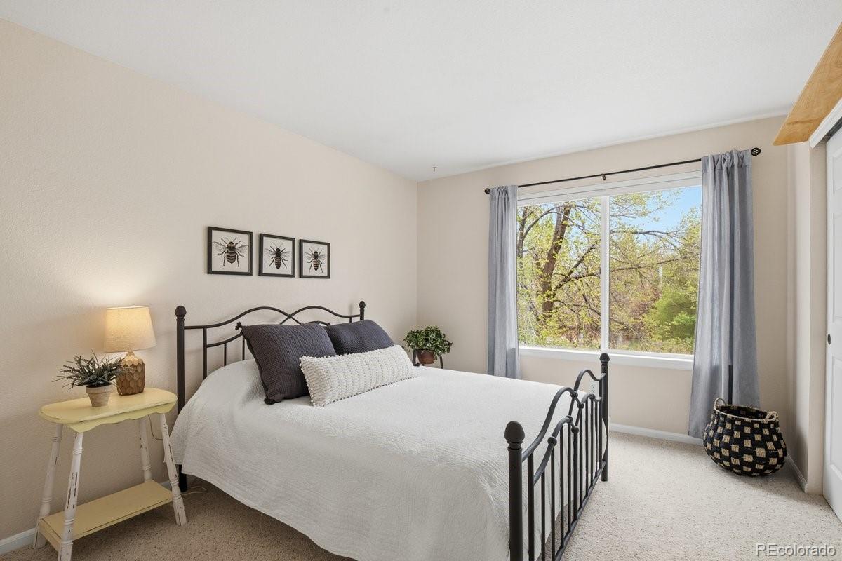 MLS Image #22 for 10461  beech street,littleton, Colorado