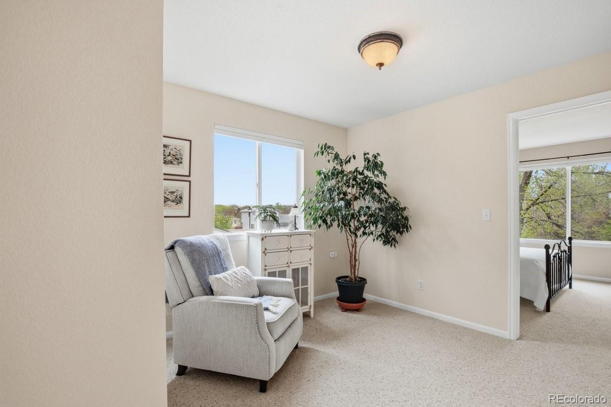 MLS Image #24 for 10461  beech street,littleton, Colorado