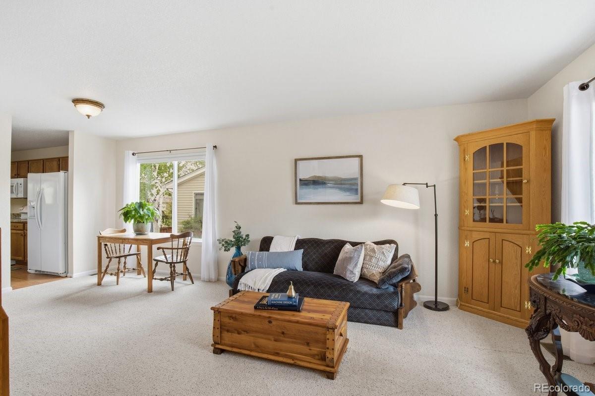 MLS Image #8 for 10461  beech street,littleton, Colorado