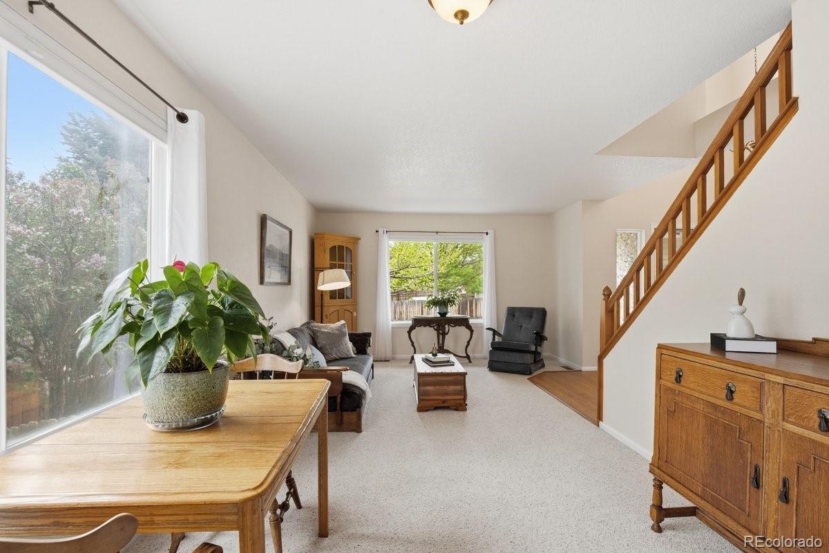 MLS Image #9 for 10461  beech street,littleton, Colorado