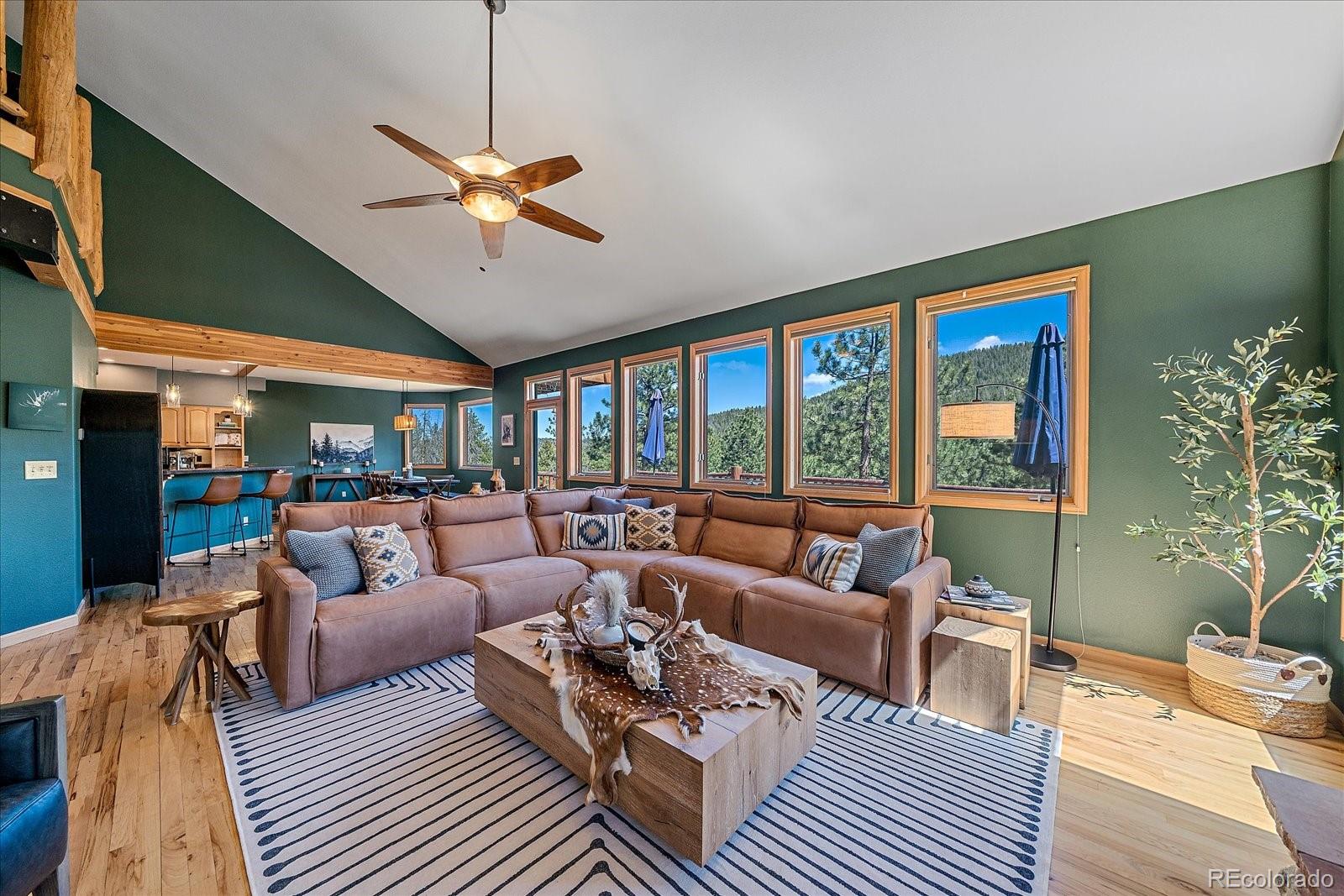 MLS Image #10 for 32160  aspen meadow drive,evergreen, Colorado