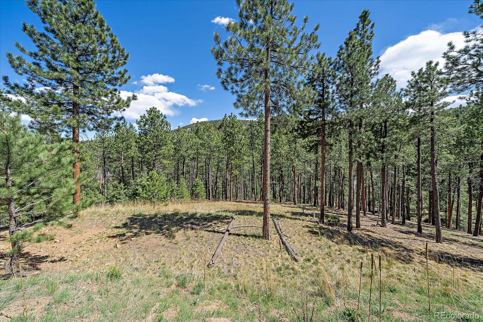 MLS Image #4 for 32160  aspen meadow drive,evergreen, Colorado