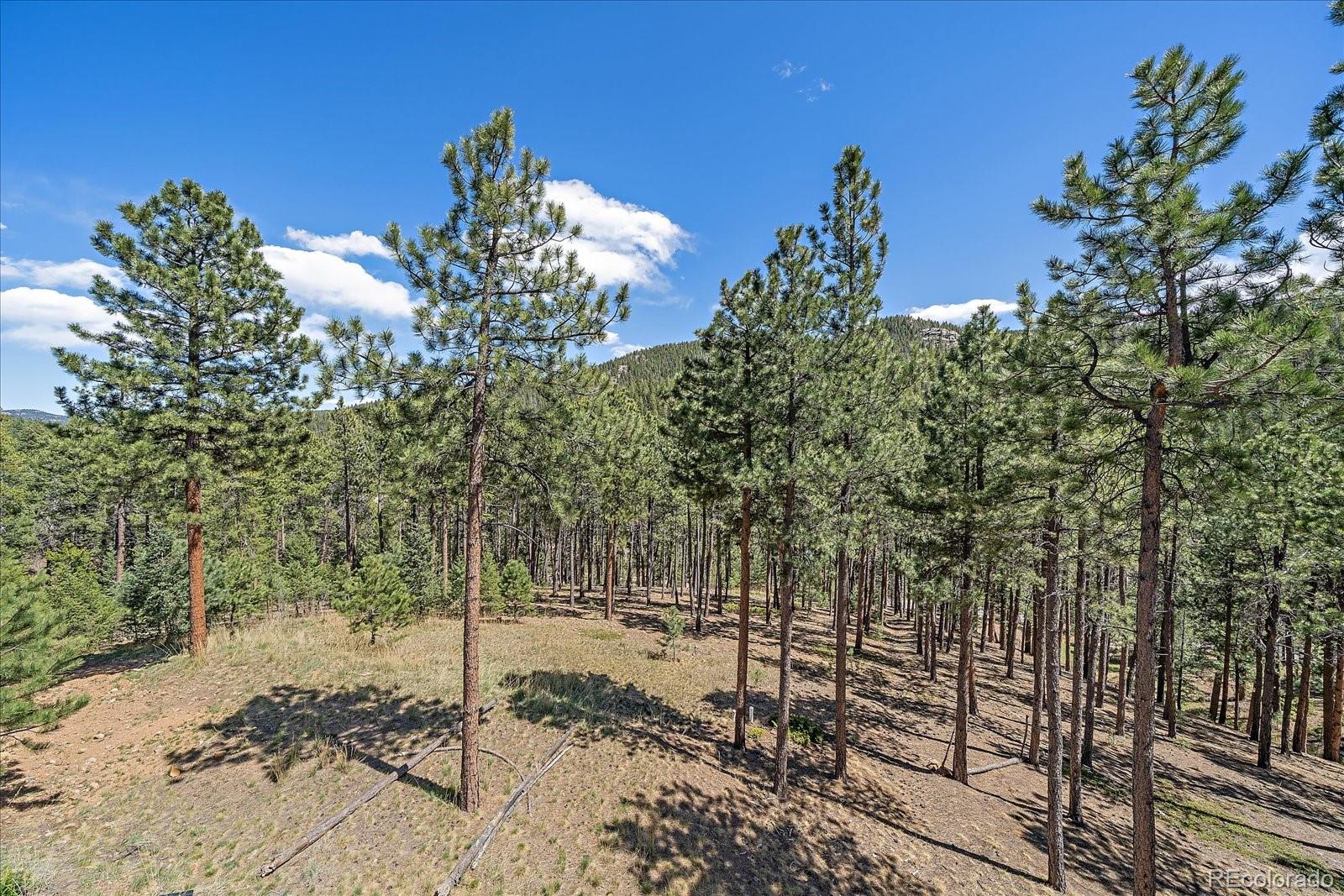MLS Image #45 for 32160  aspen meadow drive,evergreen, Colorado
