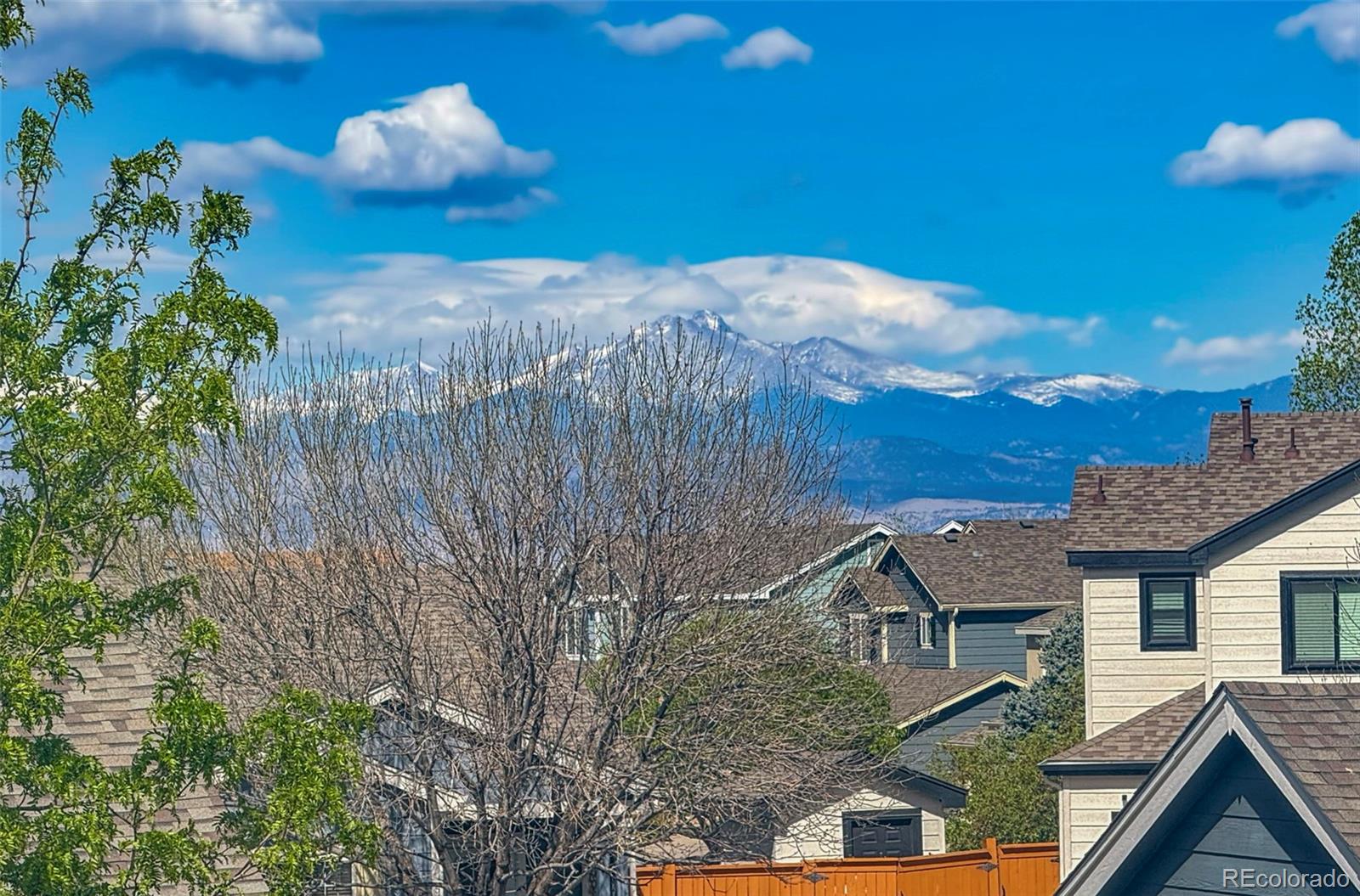 MLS Image #18 for 125  brittany court,dacono, Colorado