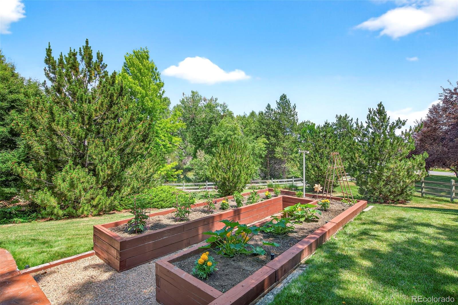 MLS Image #47 for 8478  haystack court,niwot, Colorado