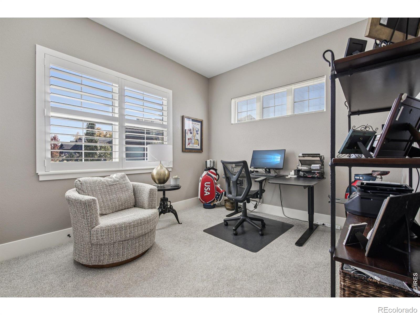 MLS Image #14 for 6278  foundry court,timnath, Colorado