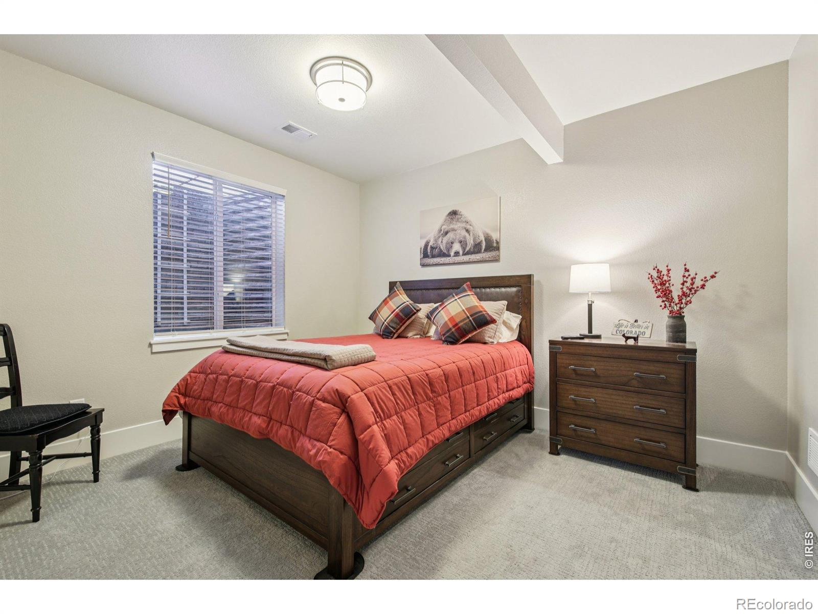 MLS Image #19 for 6278  foundry court,timnath, Colorado