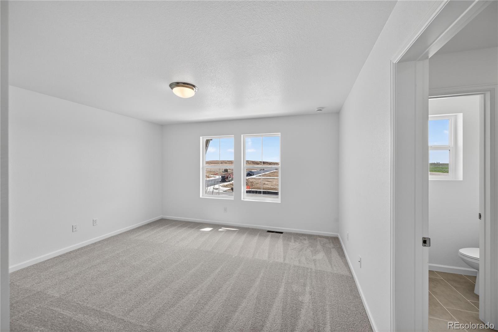 MLS Image #9 for 333 n bently street,watkins, Colorado