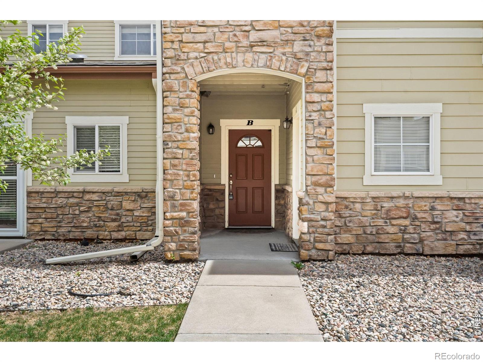 MLS Image #1 for 3827  steelhead street,fort collins, Colorado