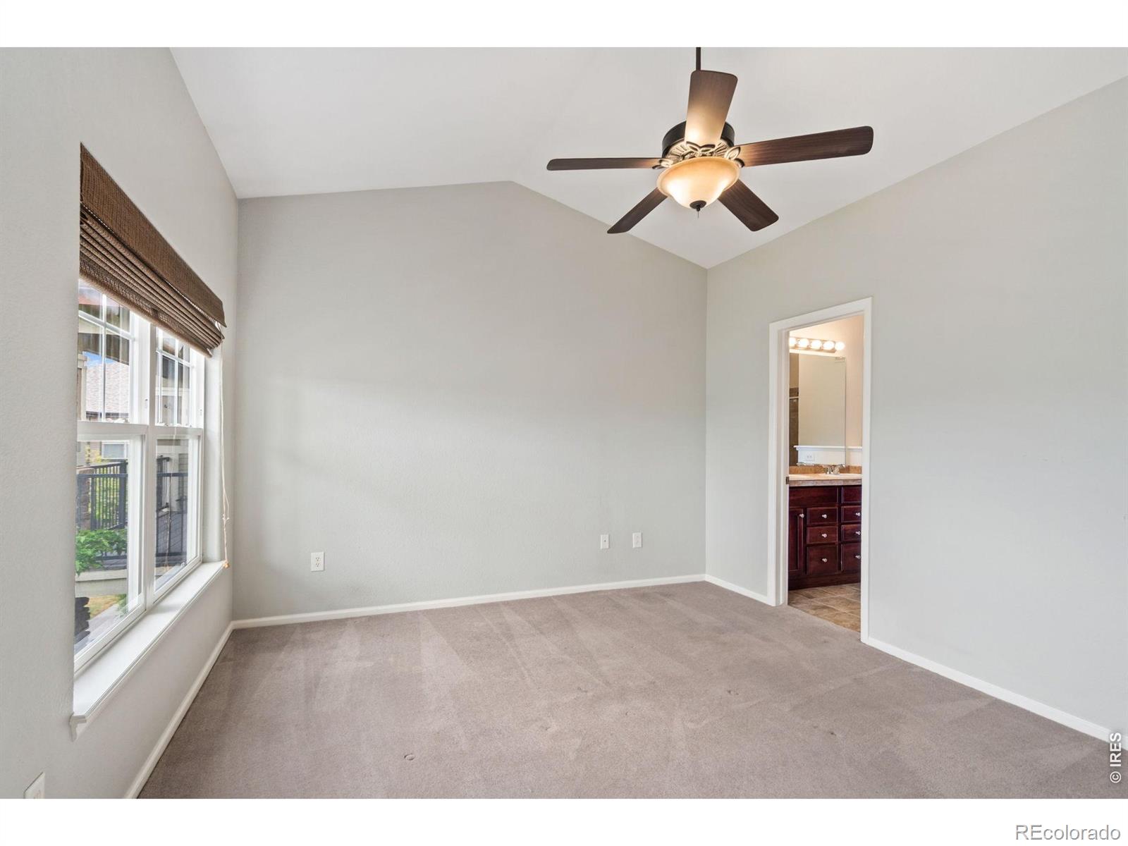 MLS Image #14 for 3827  steelhead street,fort collins, Colorado