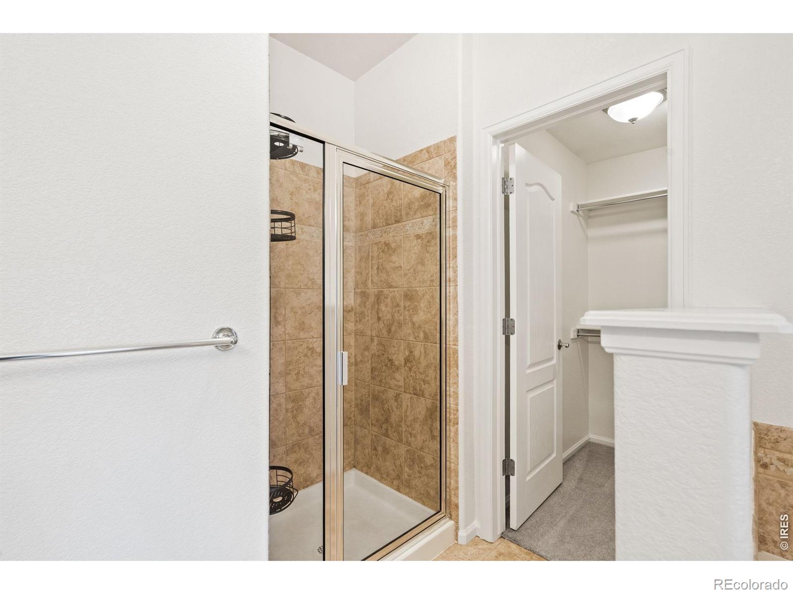 MLS Image #17 for 3827  steelhead street,fort collins, Colorado