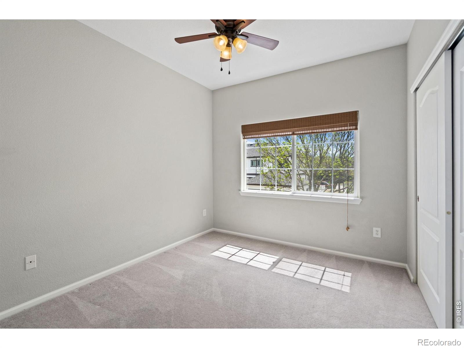MLS Image #19 for 3827  steelhead street,fort collins, Colorado