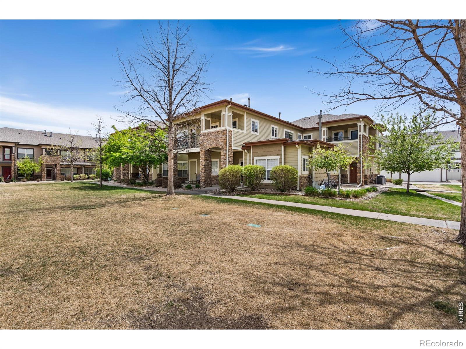 MLS Image #26 for 3827  steelhead street,fort collins, Colorado
