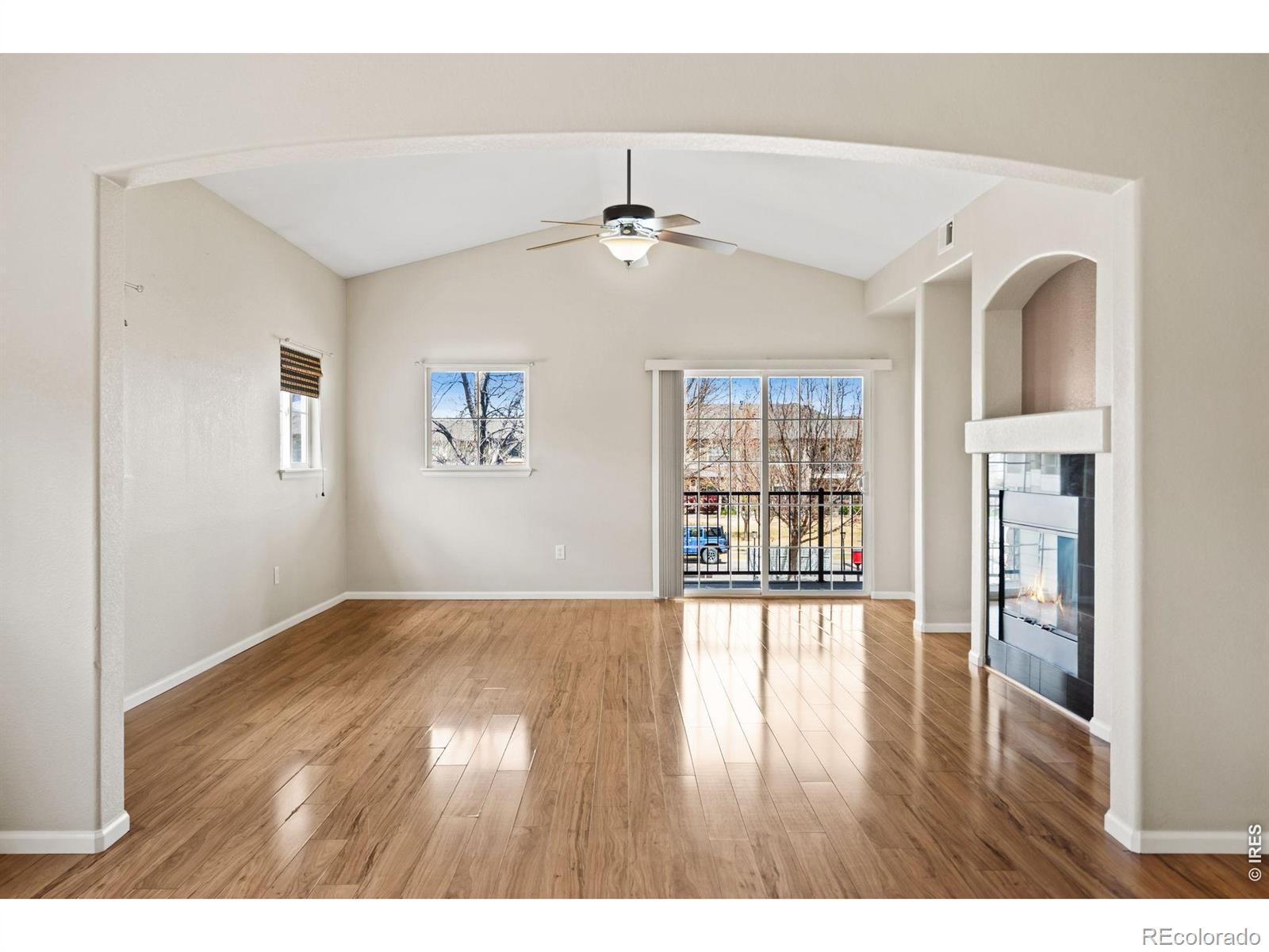 MLS Image #5 for 3827  steelhead street,fort collins, Colorado