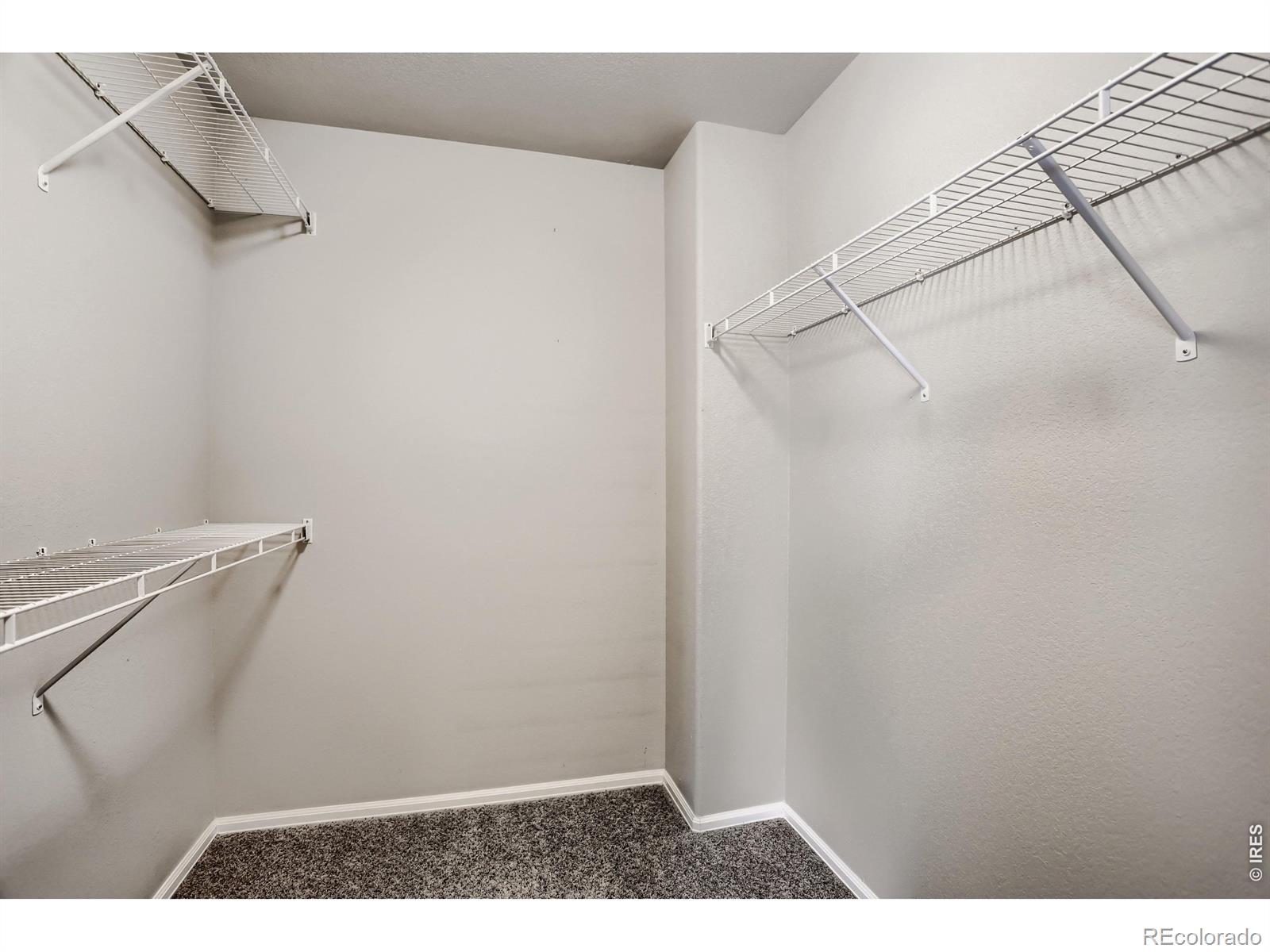 MLS Image #19 for 3464  godwit drive,berthoud, Colorado
