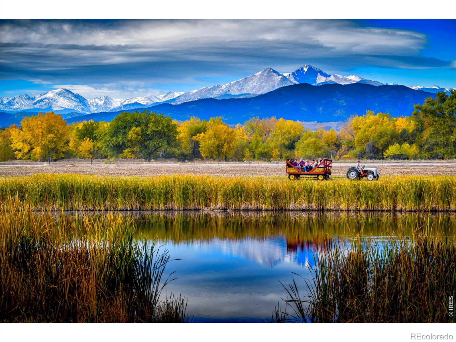MLS Image #36 for 3464  godwit drive,berthoud, Colorado