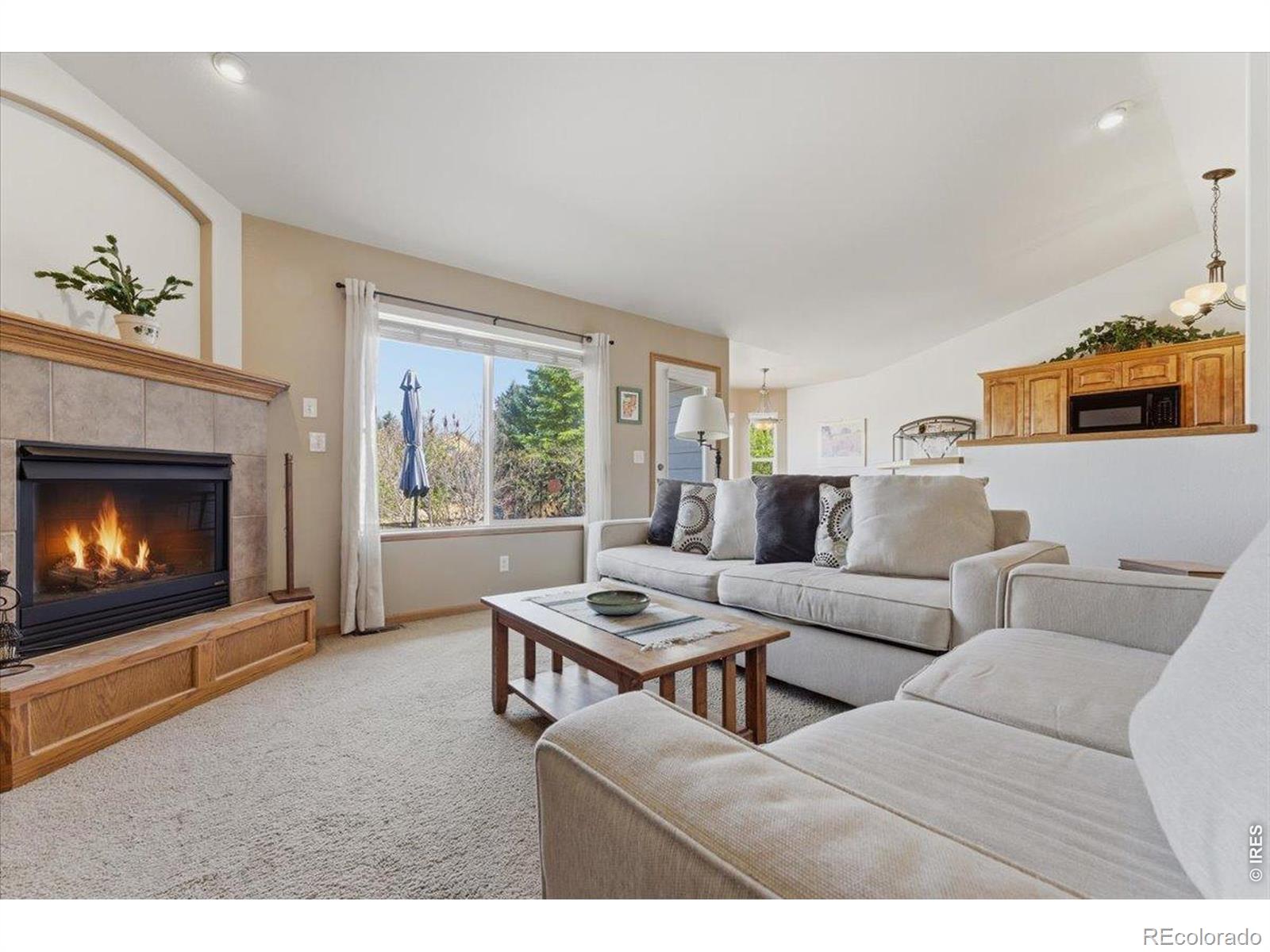 MLS Image #3 for 5060  apricot drive,loveland, Colorado
