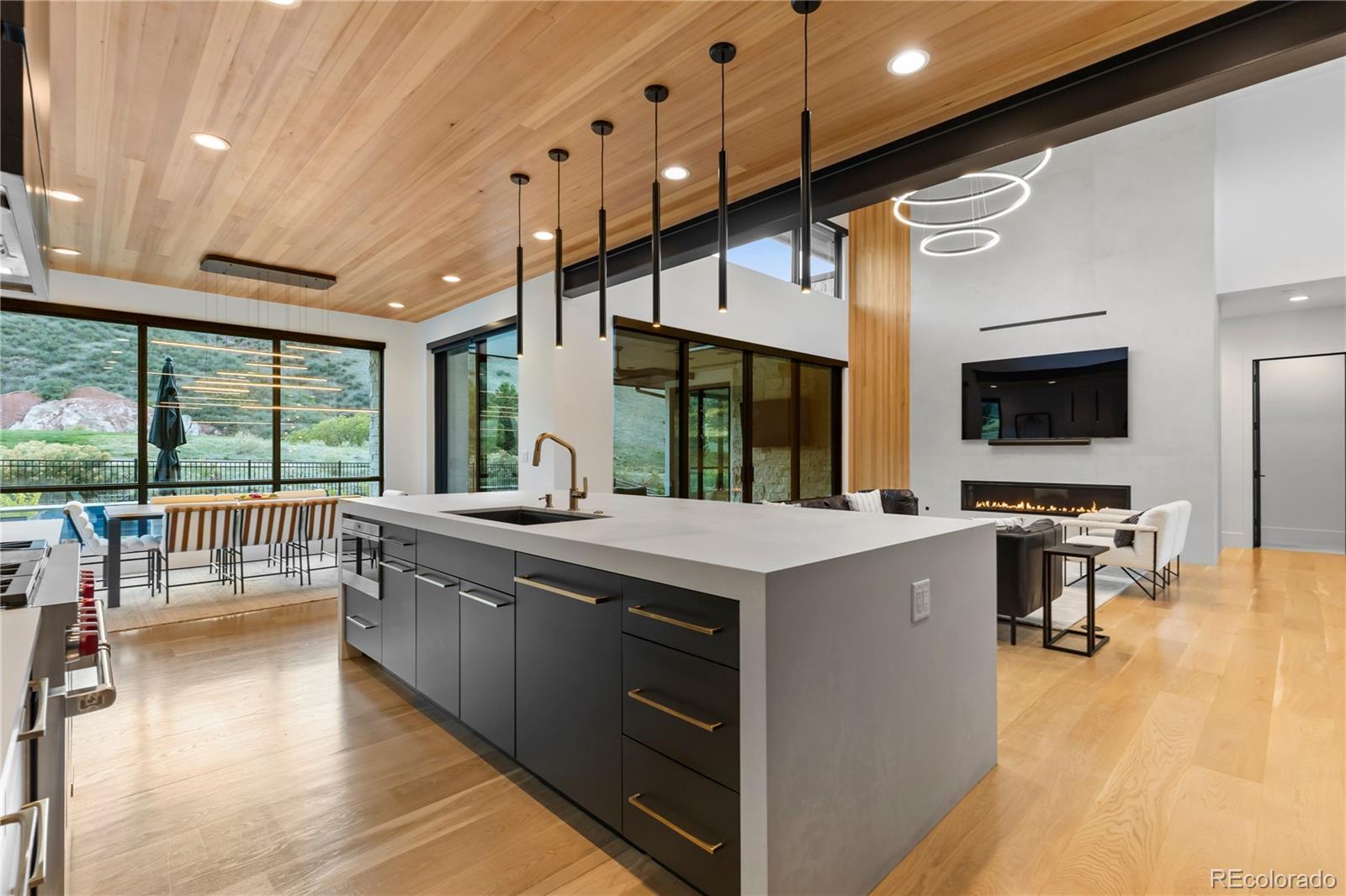 MLS Image #15 for 8111  galileo way,littleton, Colorado