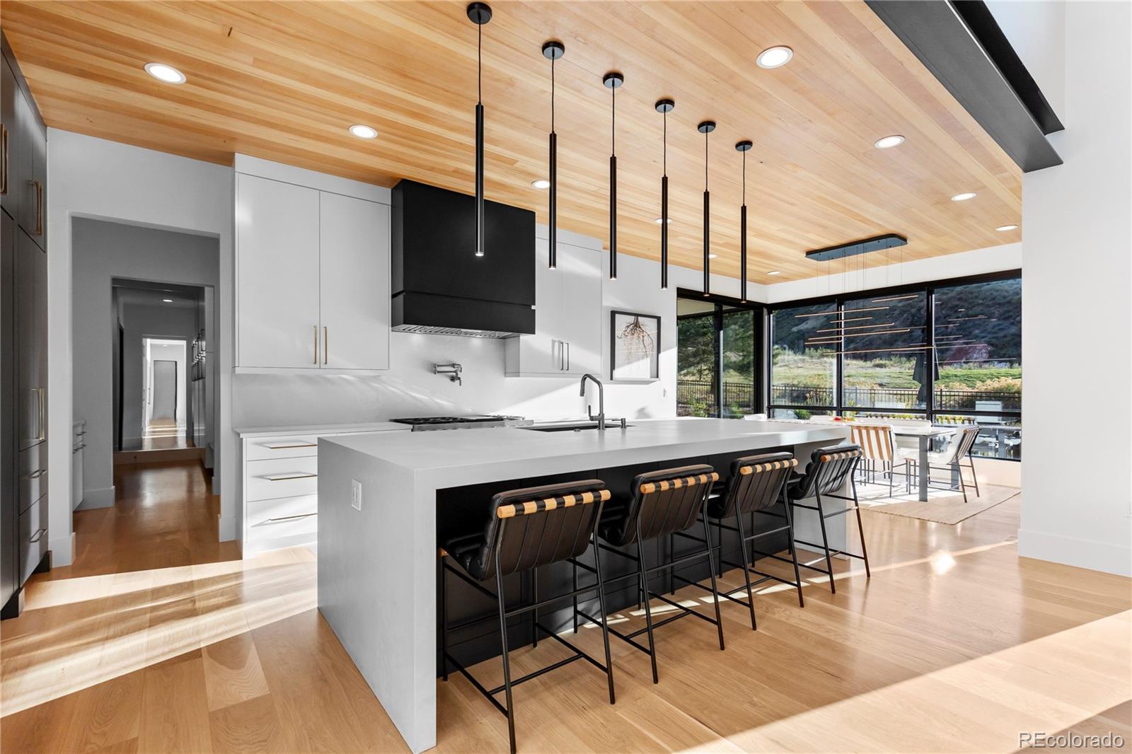 MLS Image #17 for 8111  galileo way,littleton, Colorado