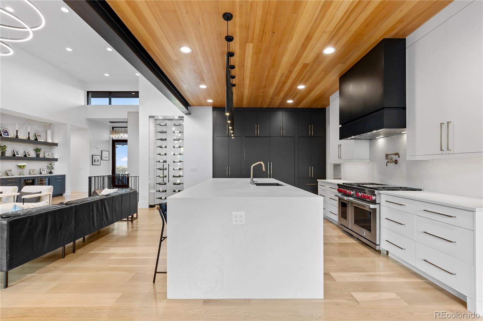 MLS Image #18 for 8111  galileo way,littleton, Colorado