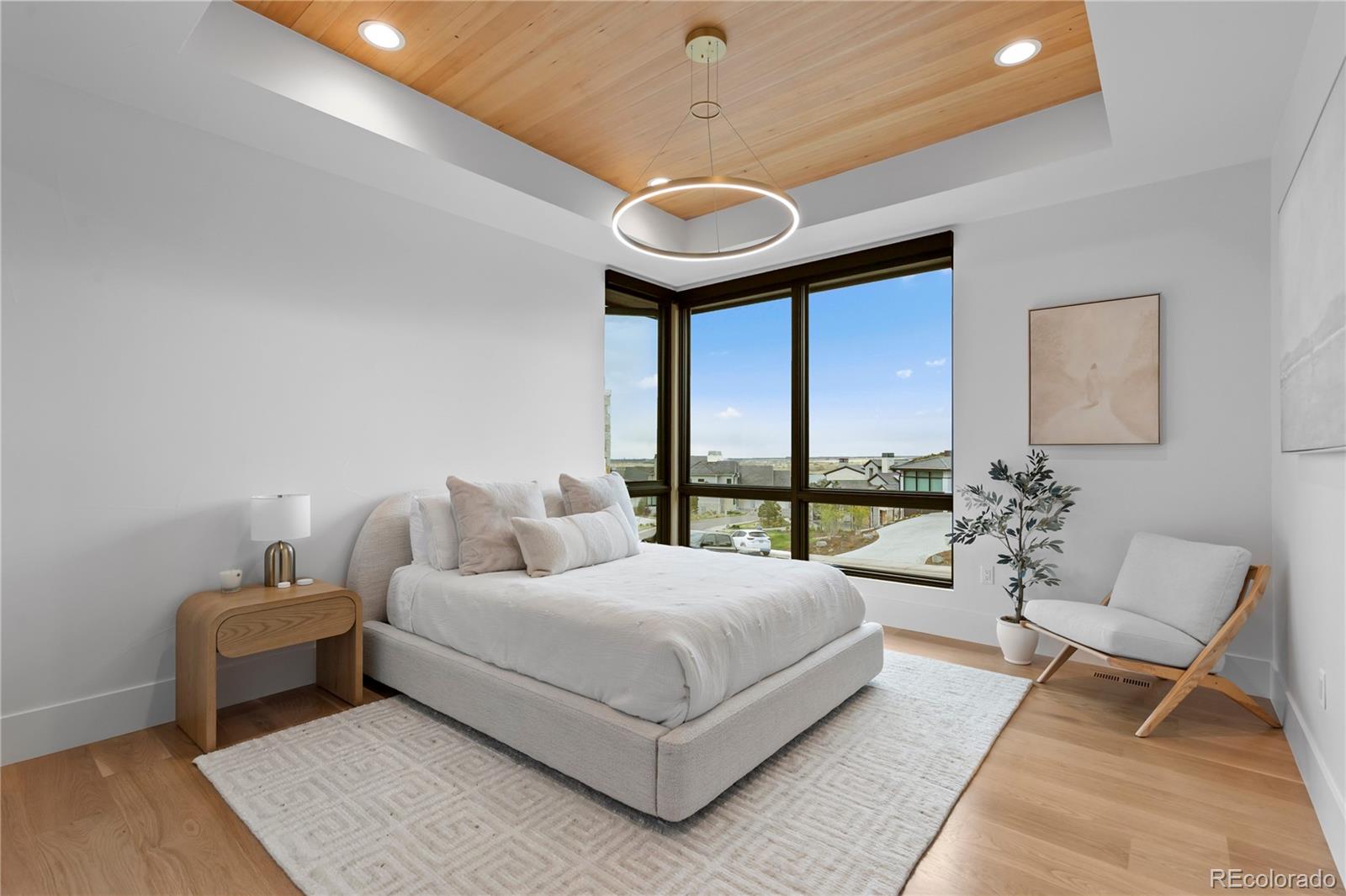 MLS Image #21 for 8111  galileo way,littleton, Colorado