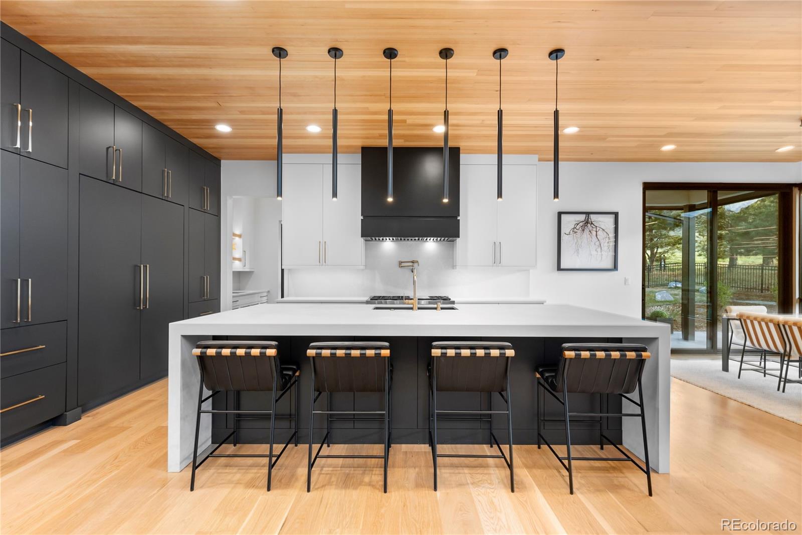 MLS Image #7 for 8111  galileo way,littleton, Colorado