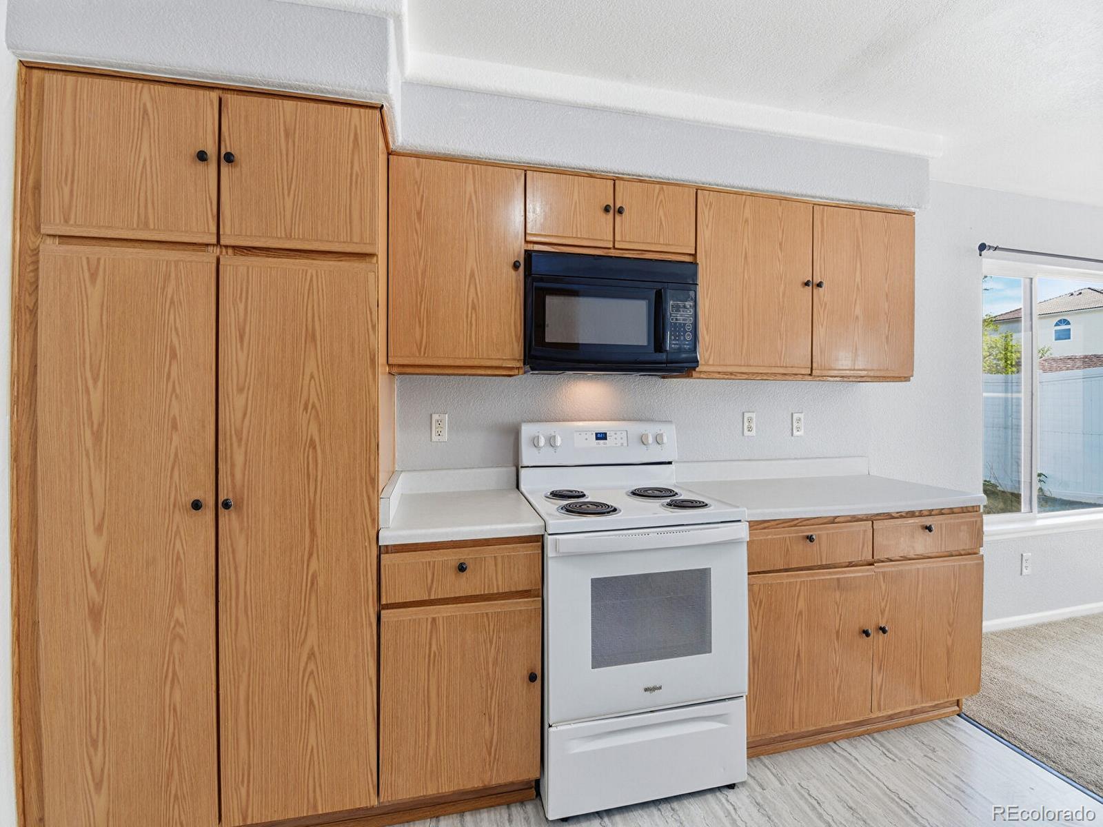 MLS Image #10 for 4864  genoa street,denver, Colorado