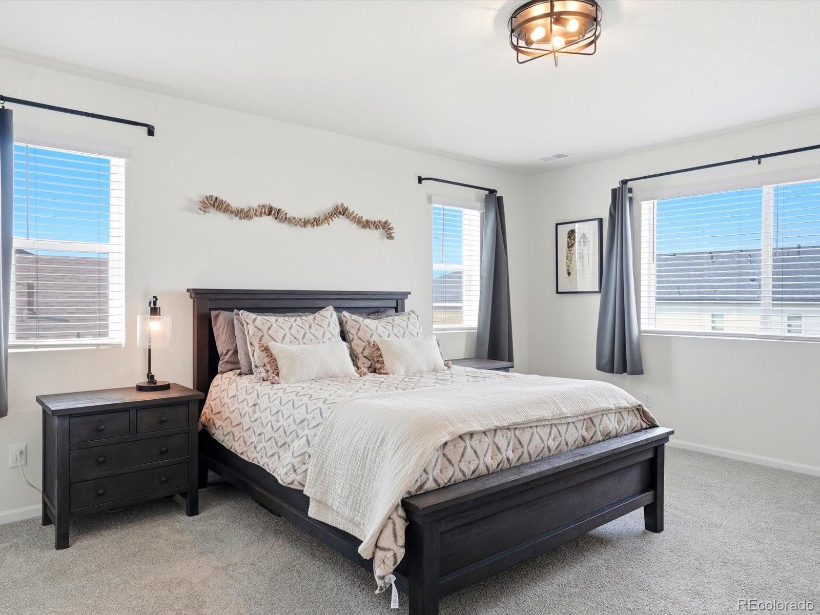 MLS Image #21 for 872  goodrich peak street,erie, Colorado