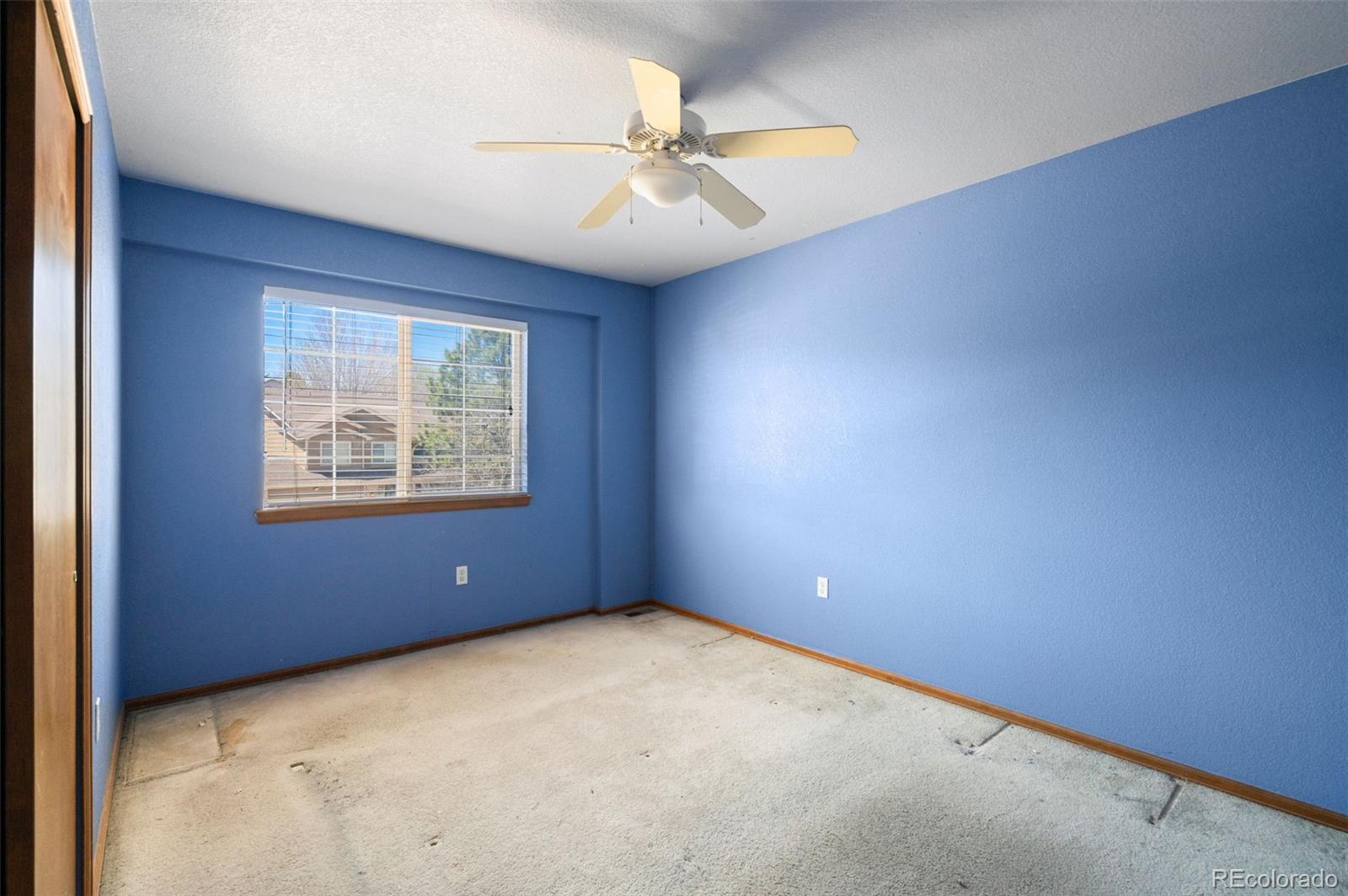 MLS Image #18 for 3473  starflower road,castle rock, Colorado