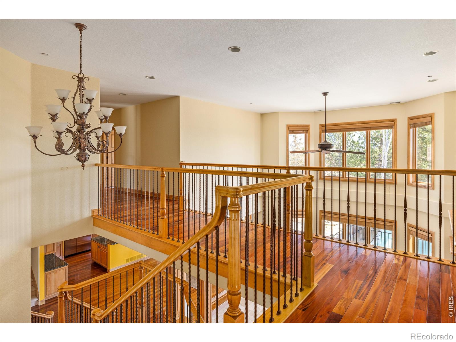 MLS Image #18 for 8630  crimson clover lane,longmont, Colorado