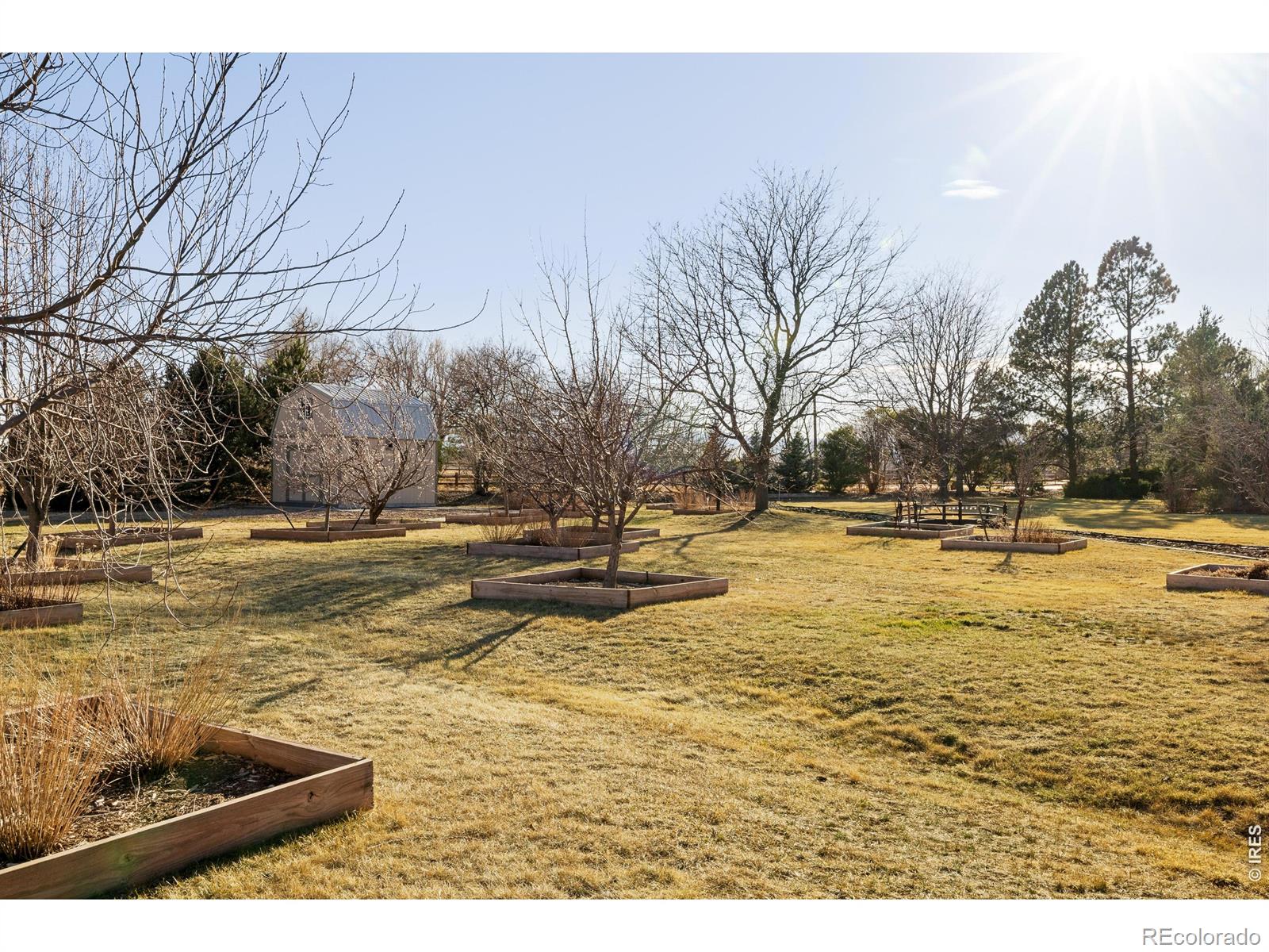 MLS Image #39 for 8630  crimson clover lane,longmont, Colorado