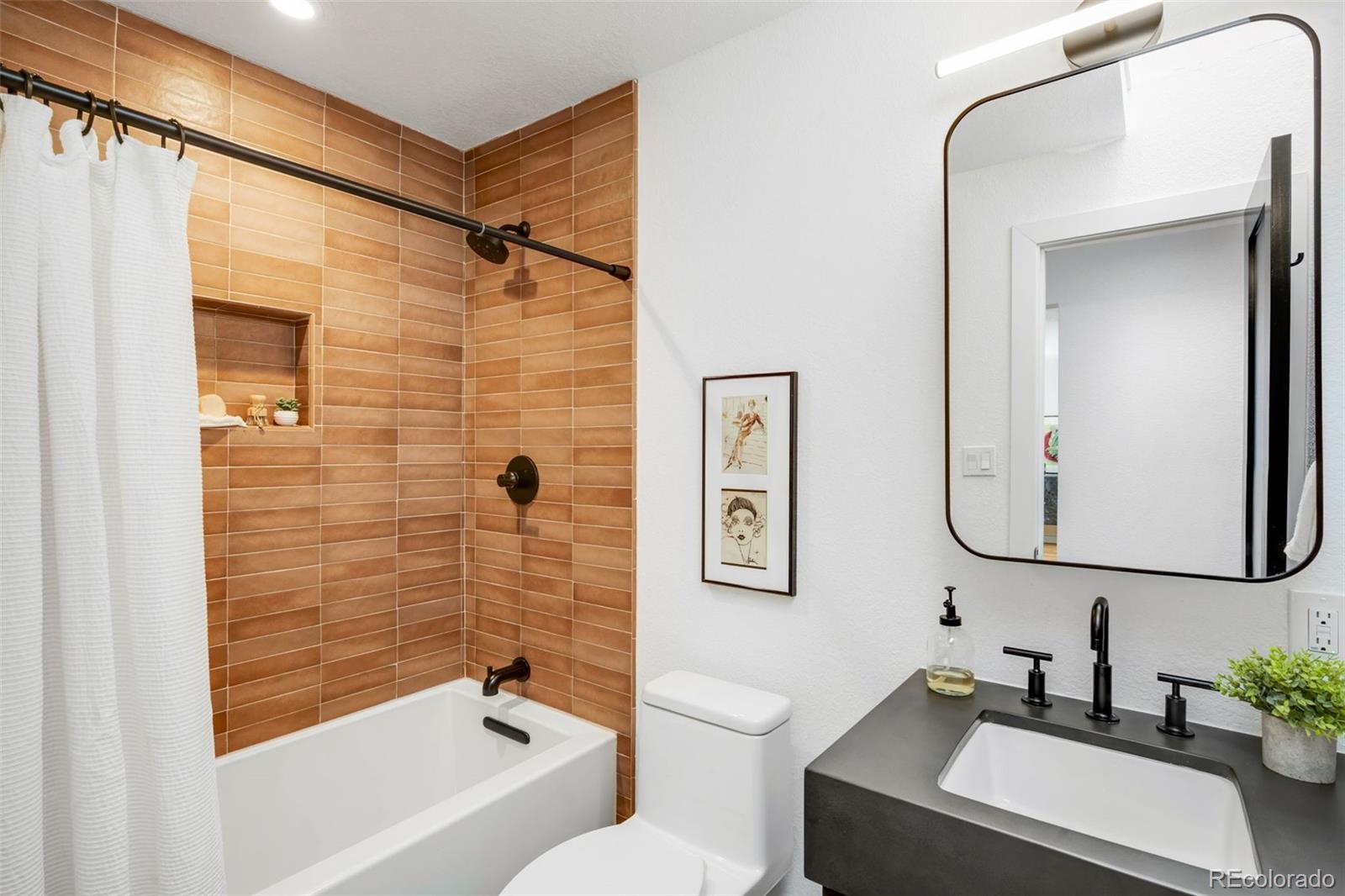 MLS Image #18 for 2560  queen street,lakewood, Colorado