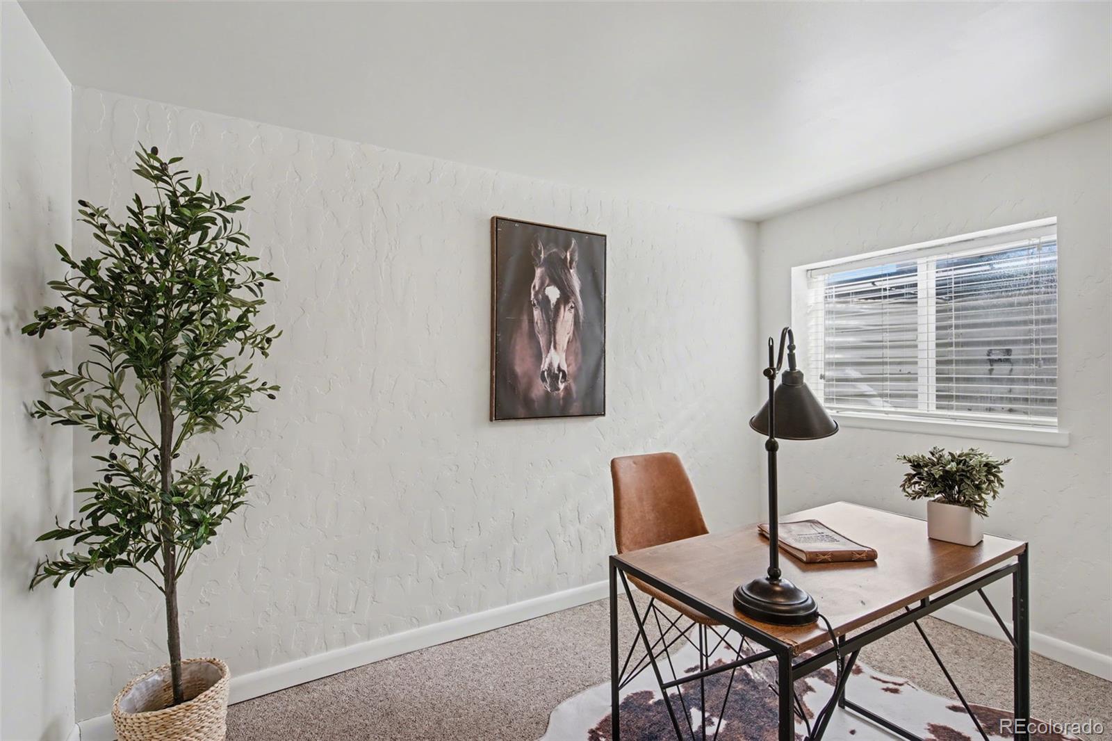 MLS Image #27 for 1015 e moreno avenue,colorado springs, Colorado