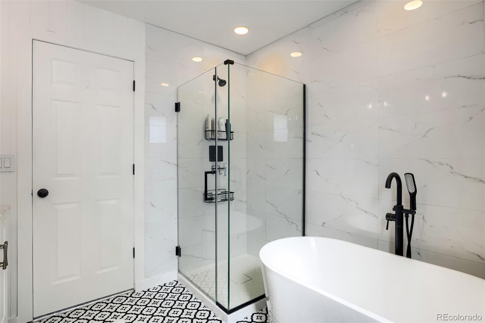 MLS Image #10 for 10533  westcliff place,highlands ranch, Colorado