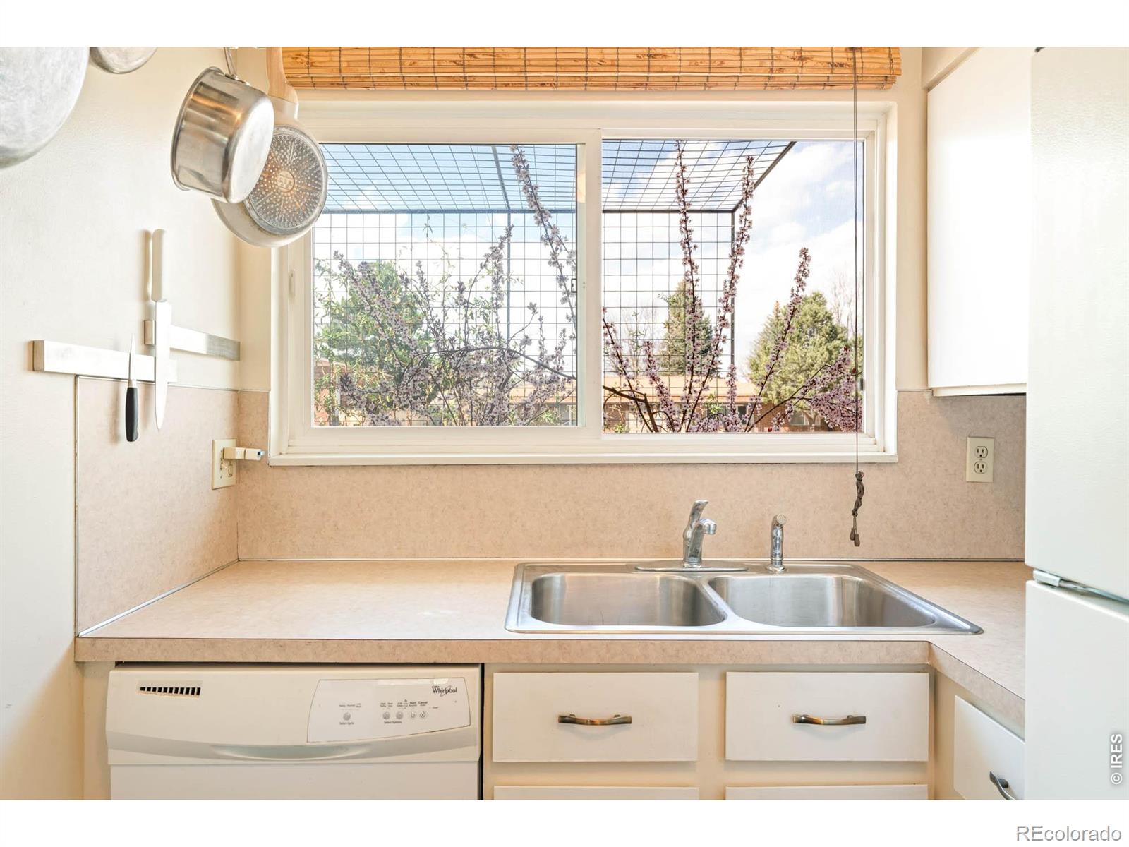 MLS Image #7 for 1700  palm drive,fort collins, Colorado