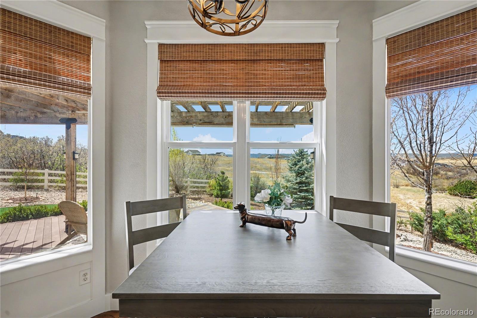 MLS Image #3 for 4387  cameo lane,castle rock, Colorado