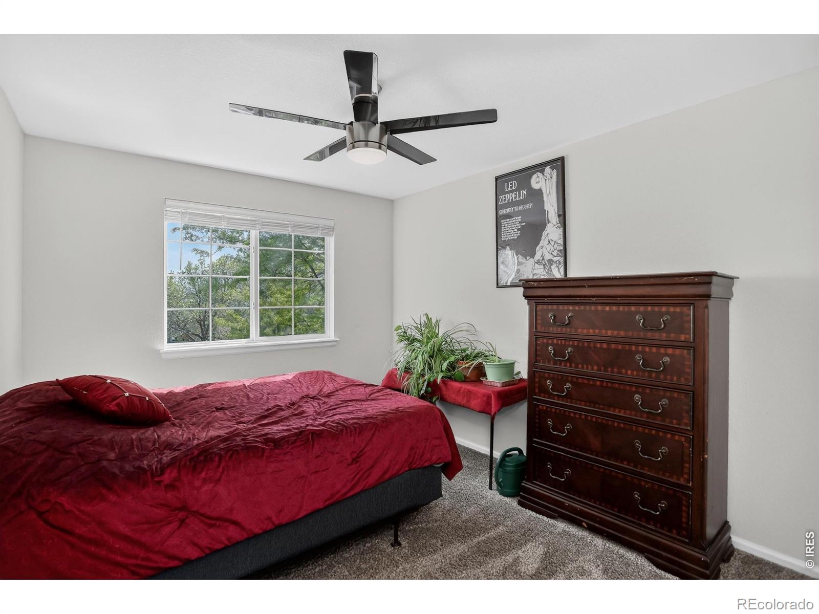 MLS Image #30 for 5845  scenic avenue,firestone, Colorado