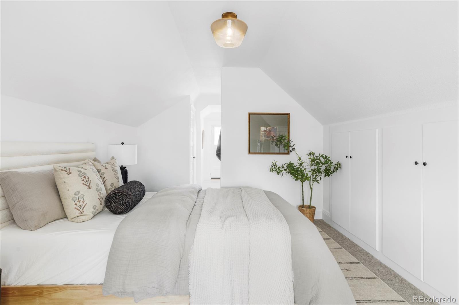 MLS Image #15 for 1457 s grant street,denver, Colorado