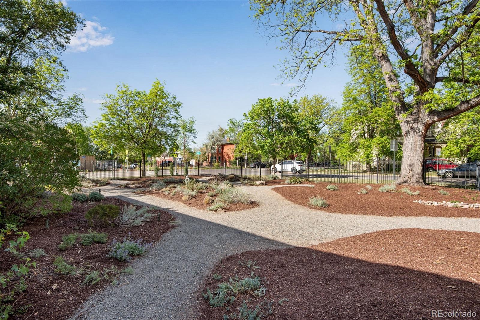MLS Image #6 for 2550  stout street,denver, Colorado