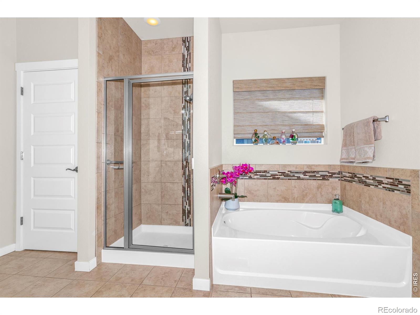 MLS Image #14 for 905  volans drive,loveland, Colorado