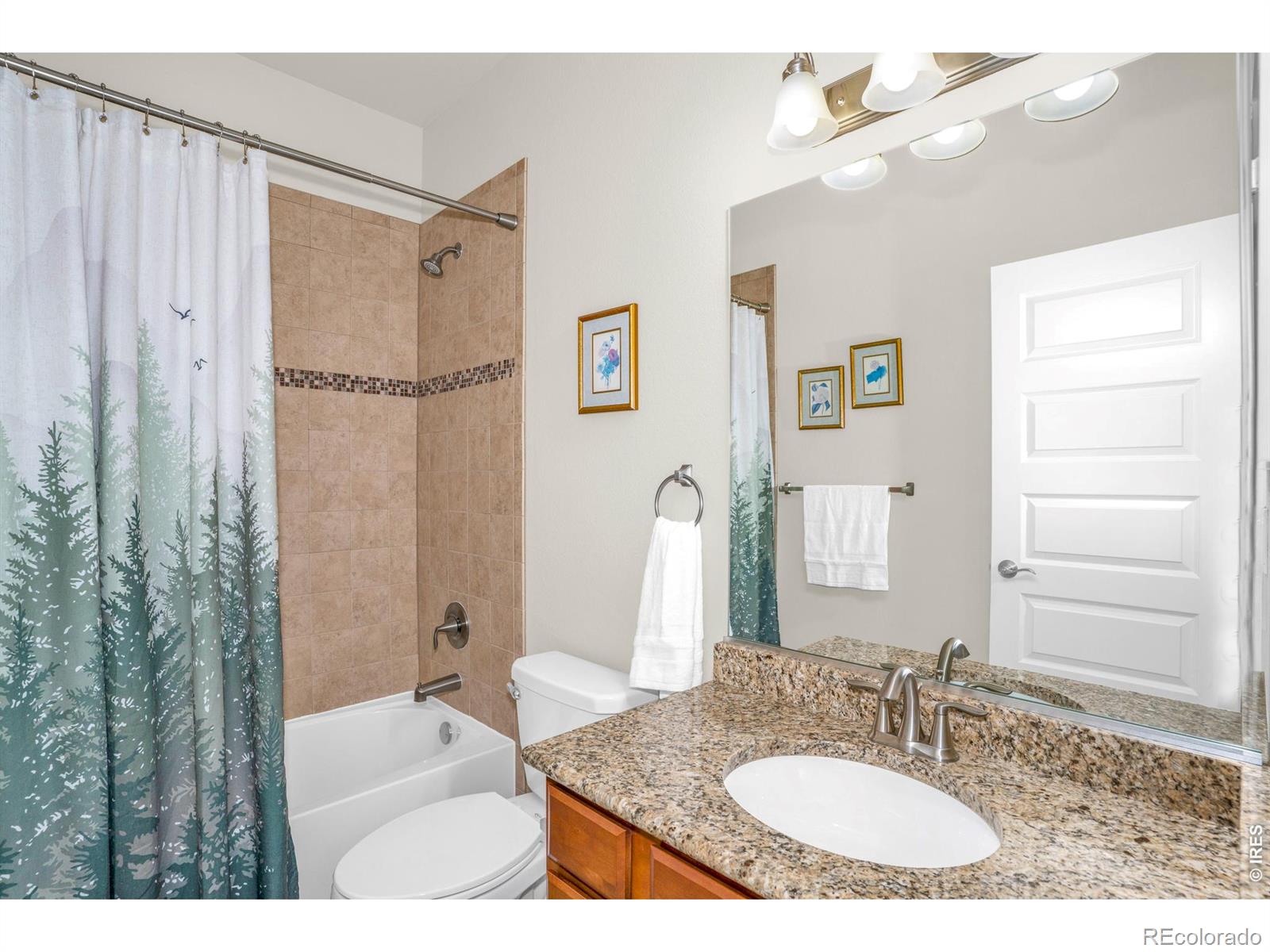MLS Image #16 for 905  volans drive,loveland, Colorado