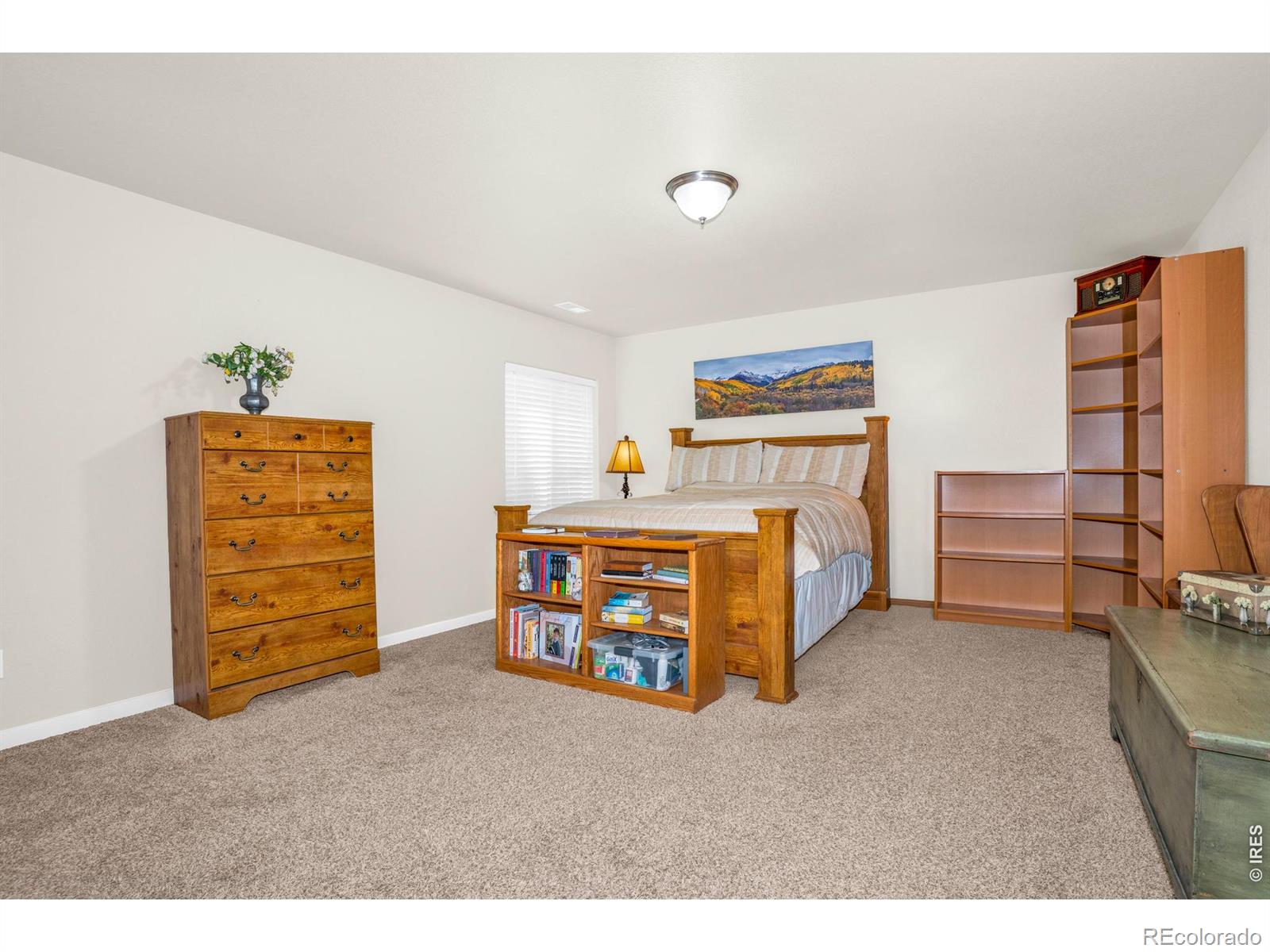 MLS Image #24 for 905  volans drive,loveland, Colorado