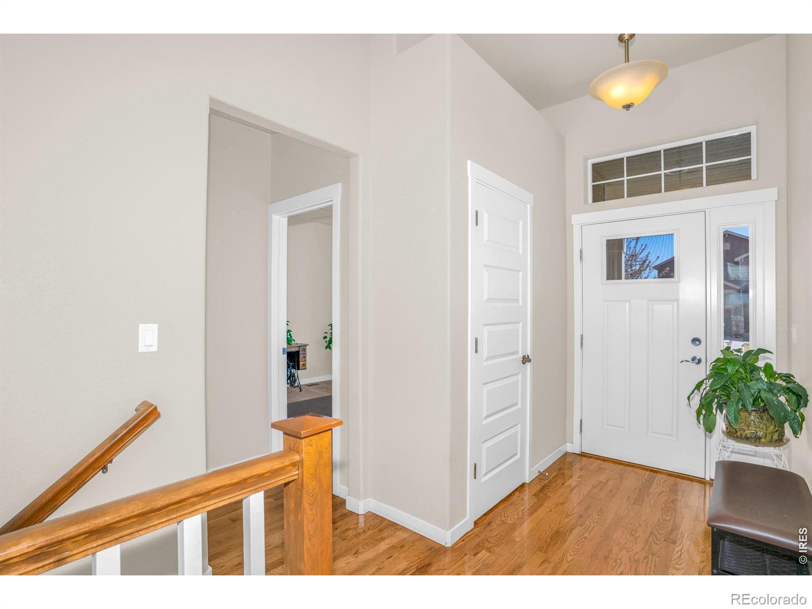 MLS Image #3 for 905  volans drive,loveland, Colorado