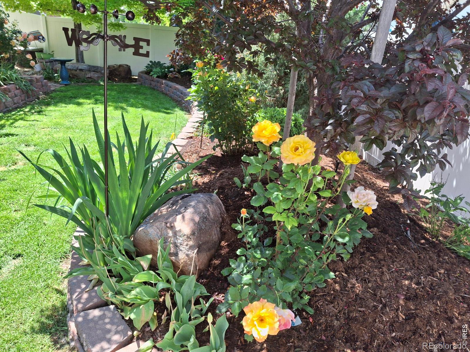 MLS Image #34 for 905  volans drive,loveland, Colorado