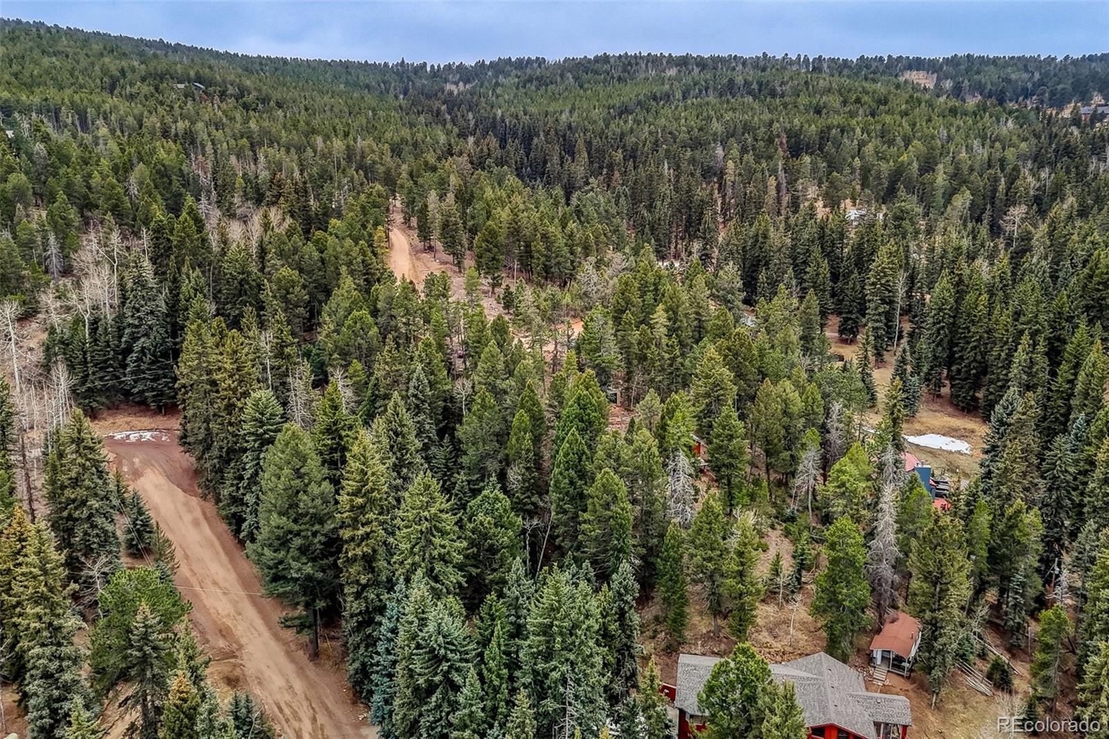 MLS Image #3 for 12096  elk trail road,conifer, Colorado